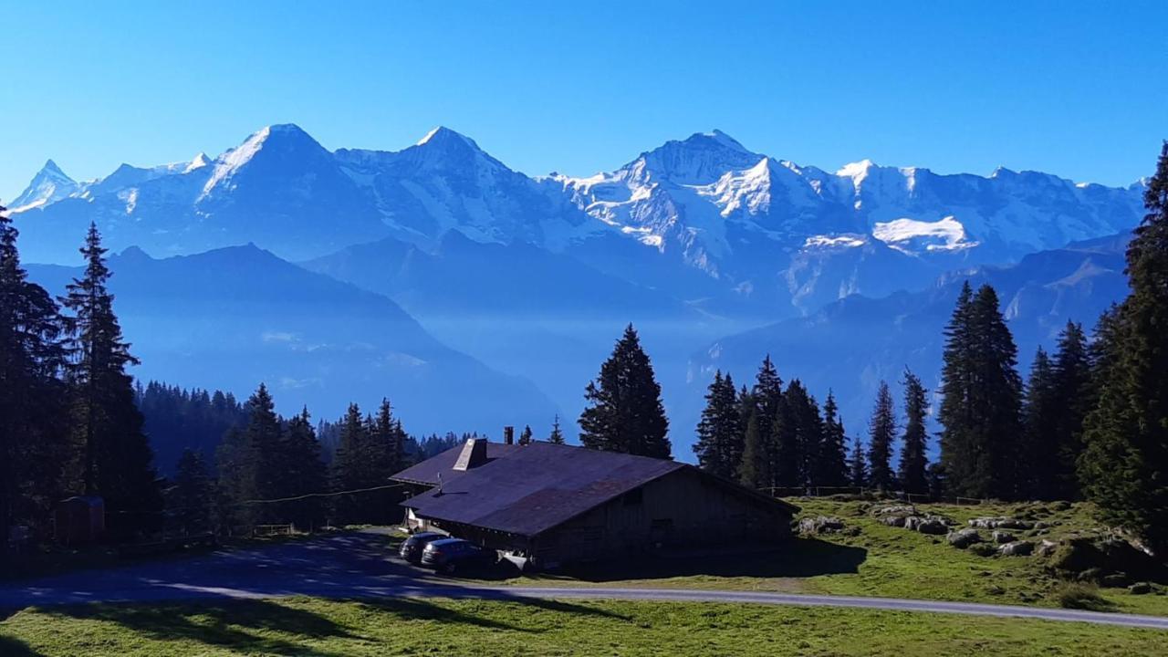 Chalet Lilo 2 Zimmer Top Mountain View Beatenberg Exteriér fotografie